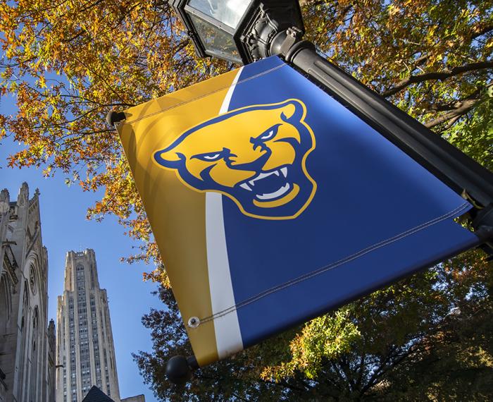 A Pitt flag with trees behind it, with orange and red leaves