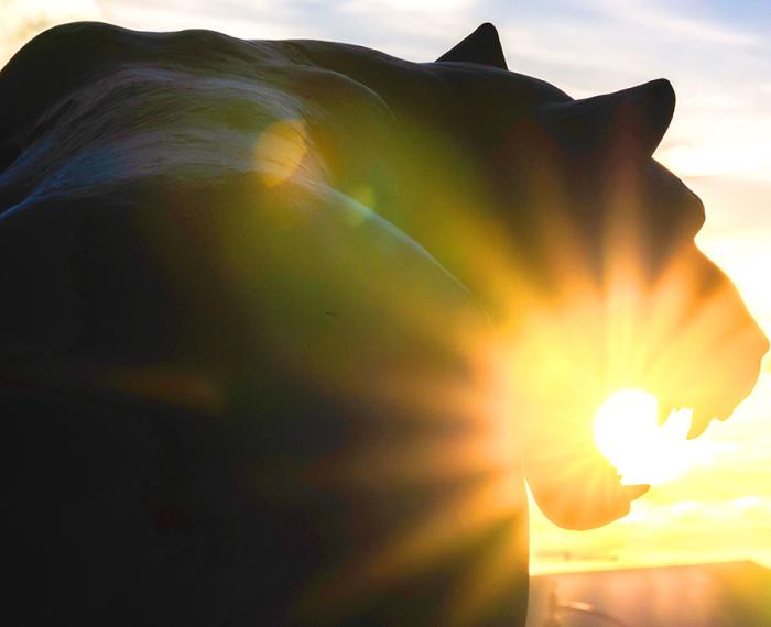 Panther statue with the sun in it's mouth
