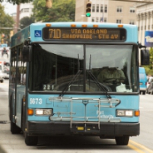 a blue 71D bus