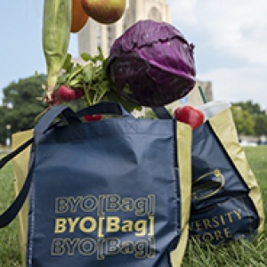 blue bag with gold printing that says BYO[Bag] on it, with a grassy background and vegetables tumbling into the bag
