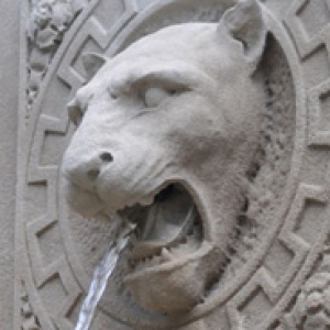 photo of a panther fountain spraying water