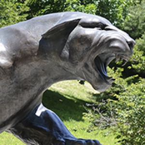Head and front paw of Pitt Panther statue