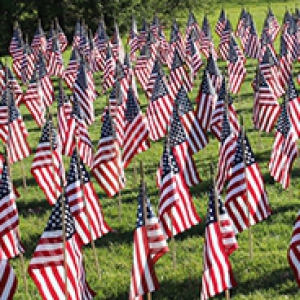 a field of American flags posted in grass