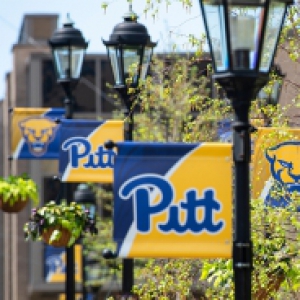A series of Pitt flags on lamp posts