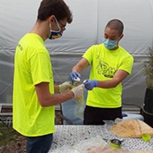 Two people in neon yellow shirts with face masks packing a bag