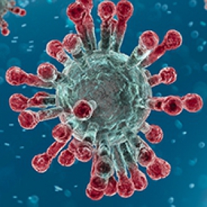 A depiction of the coronavirus