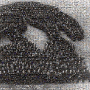 A photo made up of Pitt community members, in the shape of a panther