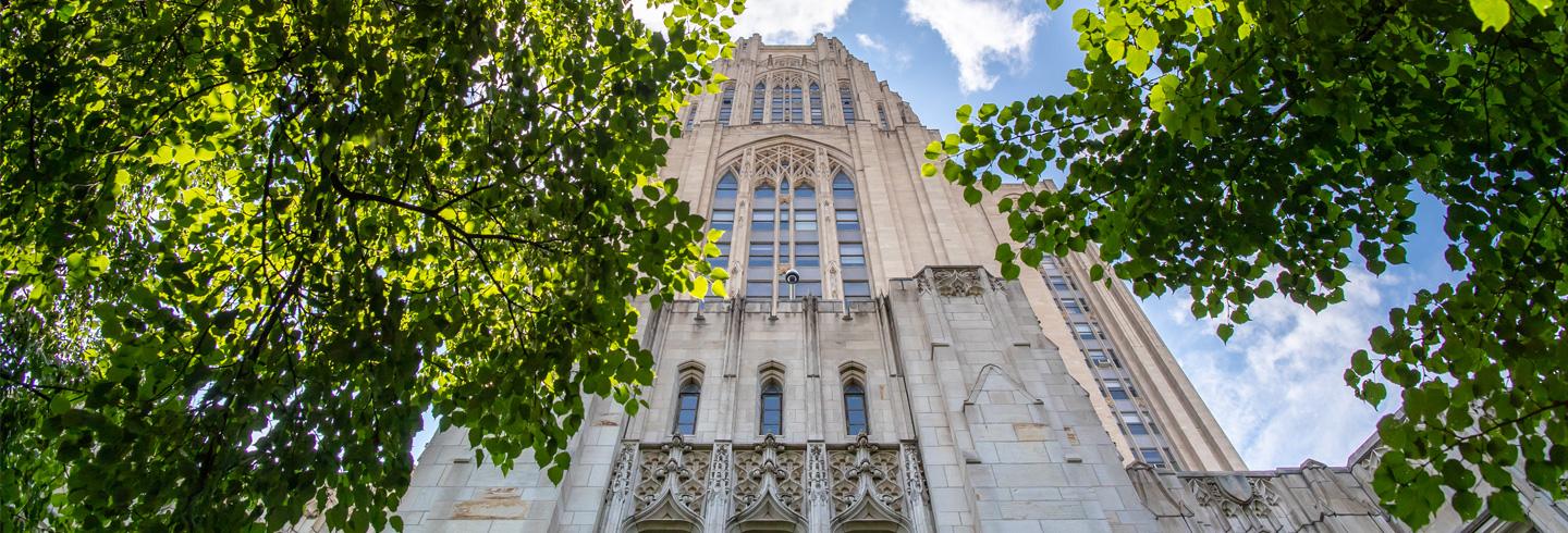 Languages at Pitt