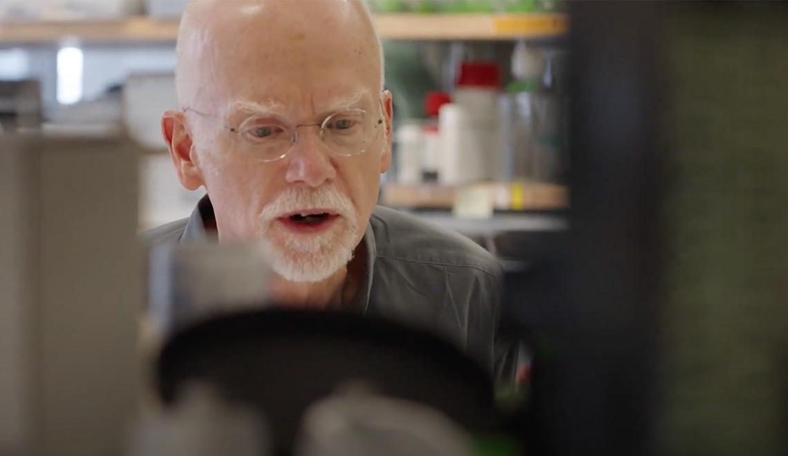 Greenamyre peering at things in a lab